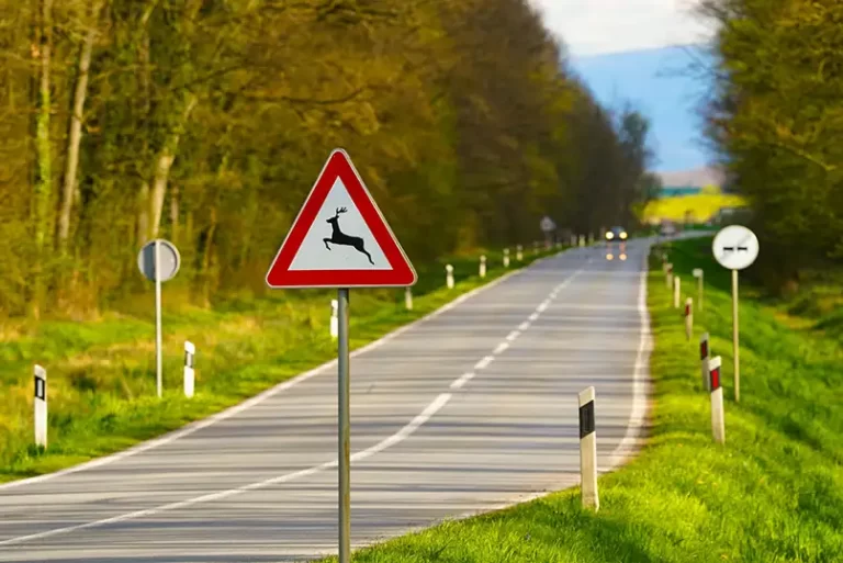 Najem Kaj morate vedeti pred potovanjem v Slovenijo? 17 v Sloveniji od € /dan to know before travellig to Slovenia